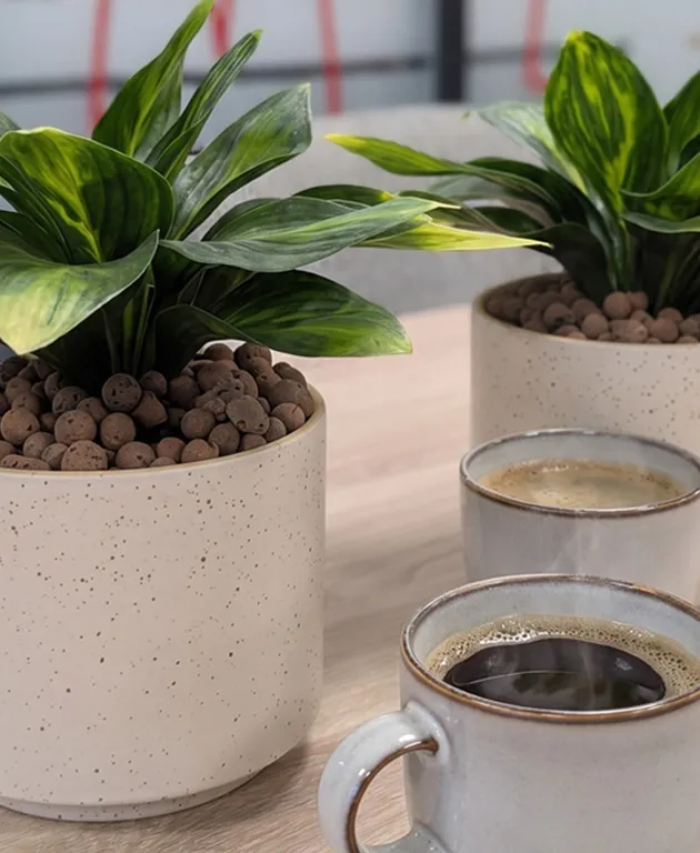 Niden – van lege ruimte naar compleet instapklaar kantoor - Koffie En Planten